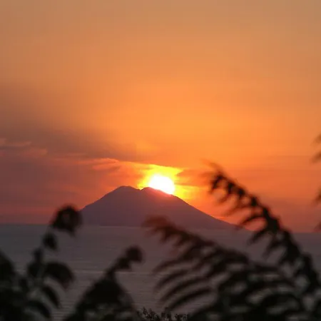 Terry - * Capo Vaticano