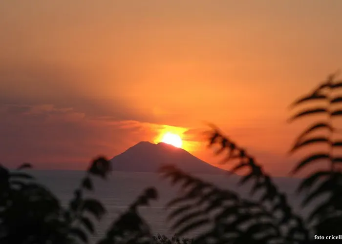 Terry - * Capo Vaticano