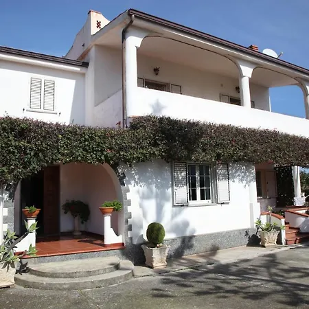 Apartment Terry -