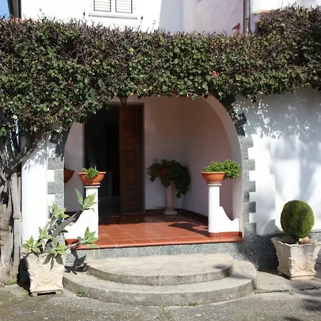 Terry - Capo Vaticano