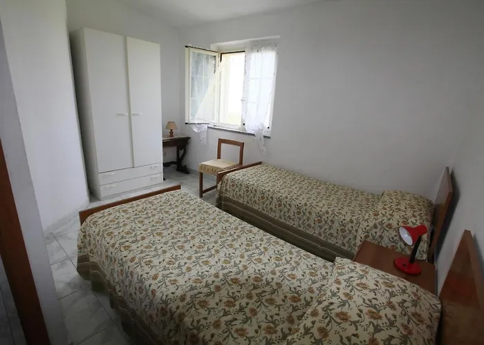 Terry - 梵蒂冈角