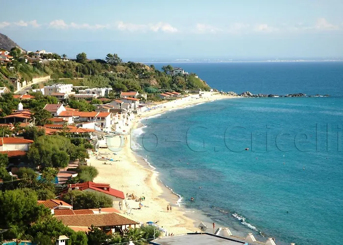 Terry - * 梵蒂冈角