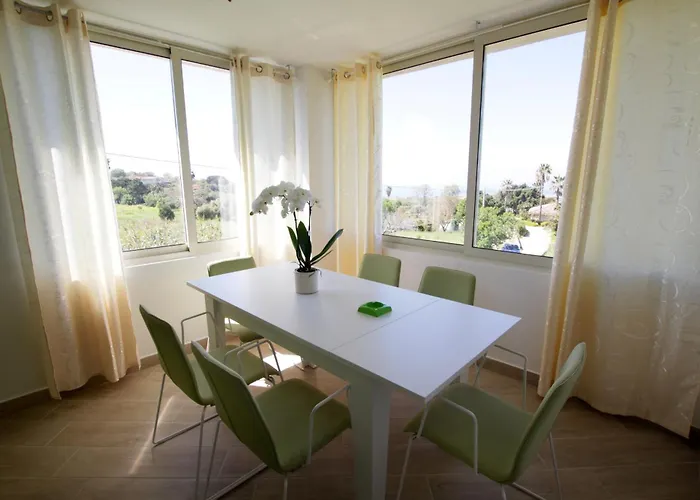 Terry - * 梵蒂冈角