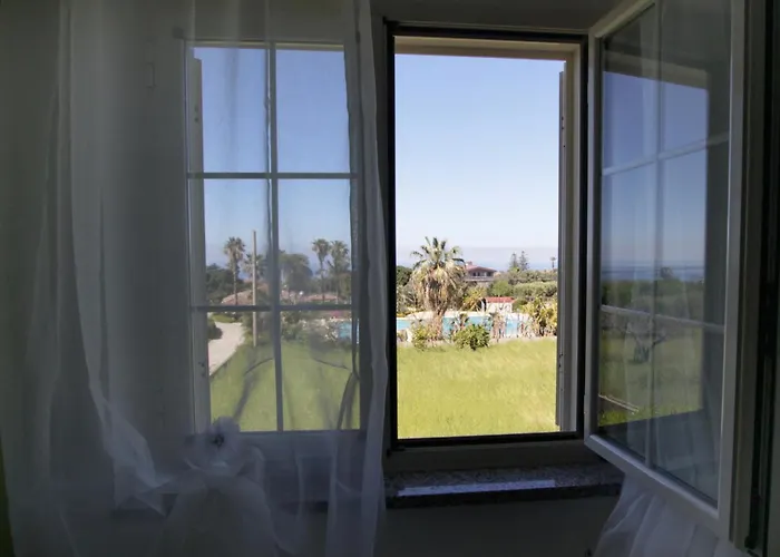 Terry - * 梵蒂冈角