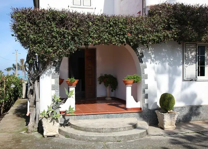 Terry - 梵蒂冈角